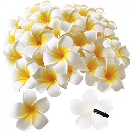 hawaii kvetina do vlasu plumerie