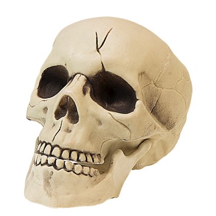 Dekorace lebka 21 cm