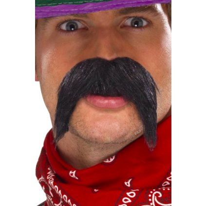falešné vousy a kníry