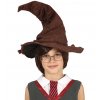 Moudrý klobouk Harry Potter