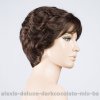 alexis deluxe darkcocolate mix bs