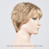 carol sandyblonde mix bs