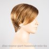 disc mono part hazelnut mix bs