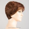 gold auburn mix bs