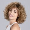 disco lightbernstein rooted 02