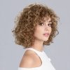 disco lightbernstein rooted 03