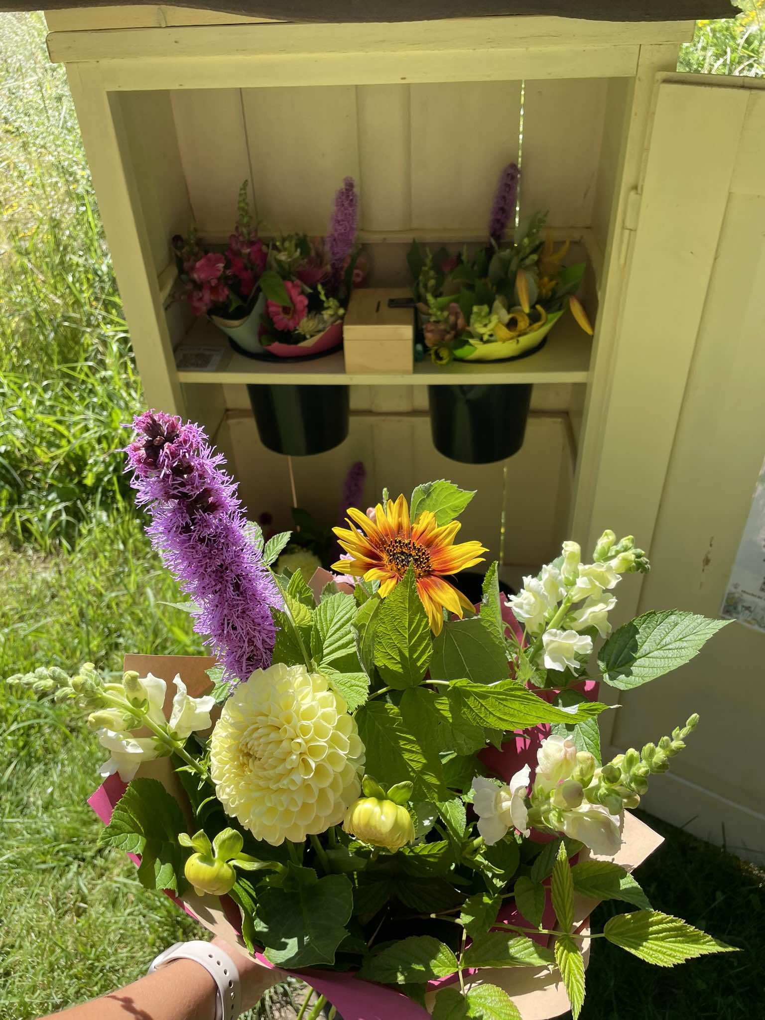 481575435_4245230852365390_6796535481198295531_n