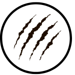 26