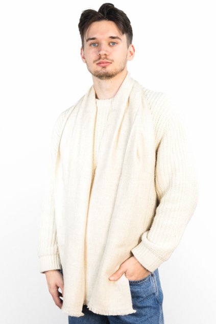 Návrh bez názvu(102)