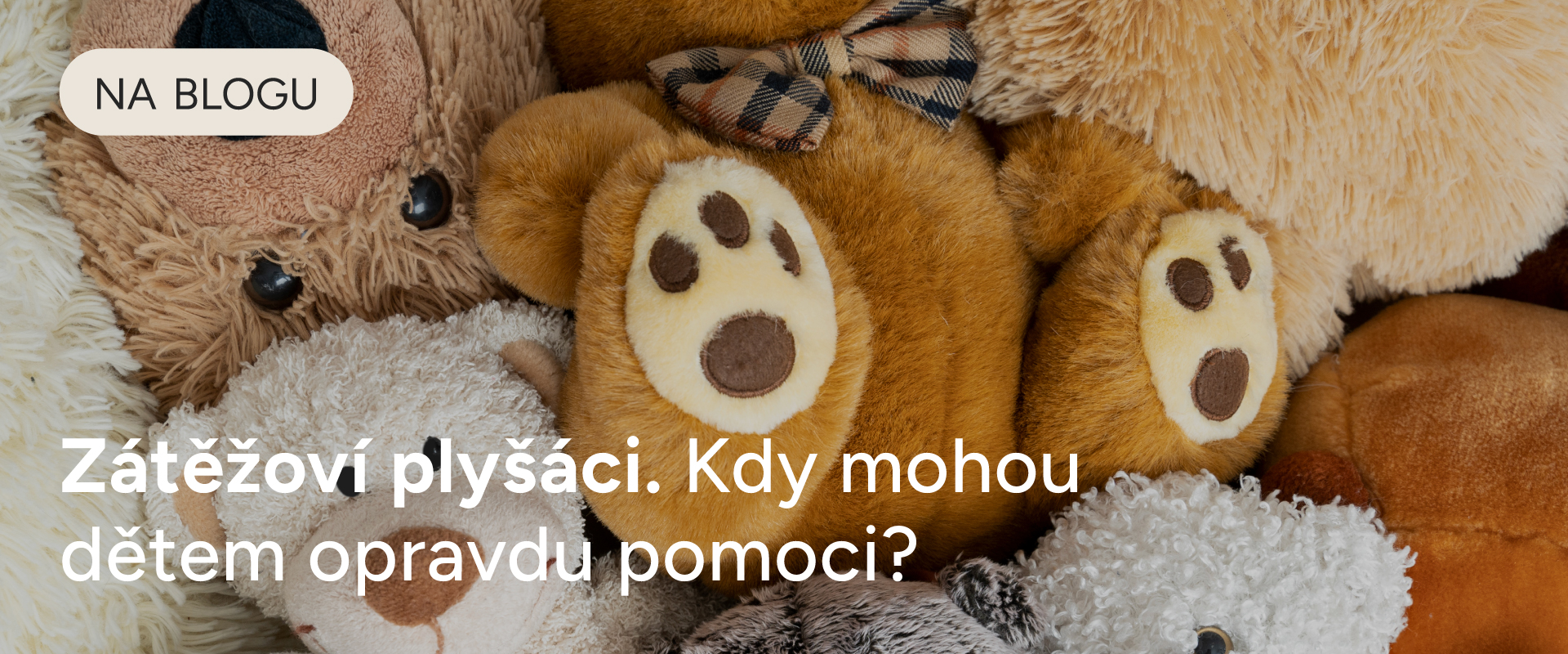 blog-web-plysaci