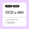 ocd v26