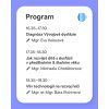 vd minikonf program