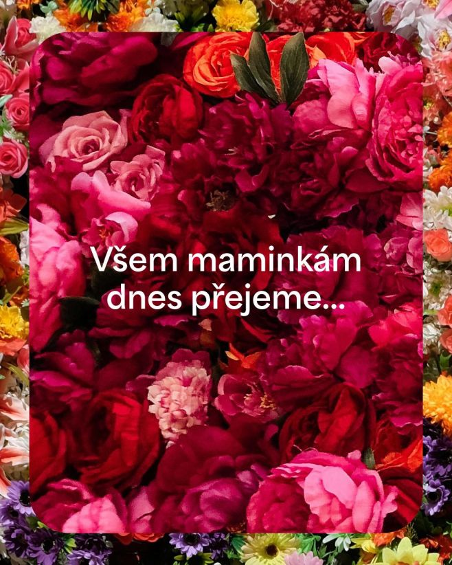 ...den plný lásky, radosti, klidu a odpočinku 🌸 Co byste maminkám dnes popřáli vy? #denmatek