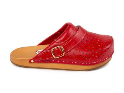 vyr 480ce2 red 1