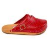vyr 480ce2 red 1