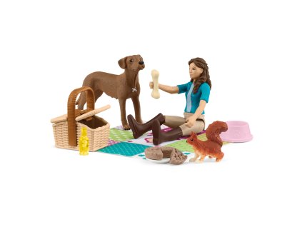 Piknik s Lisou, hracia sada