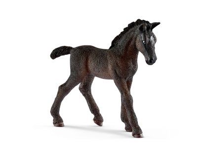 Zvieratko - žriebä Lipican