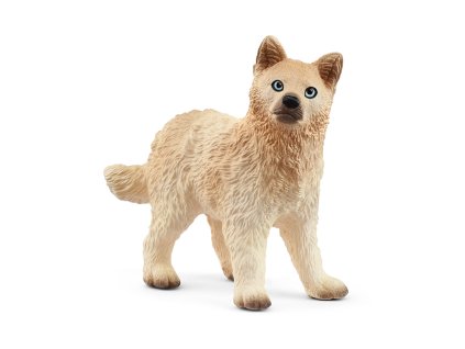 Zvieratko - mláďa vlka arktického