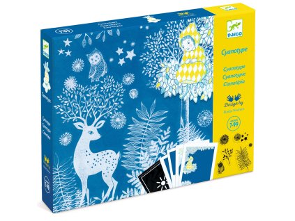 dj09342 pri mesacnom svite kyanotypova fotocitliva sada 3