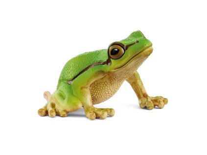 Zvieratko - Rosnička zelená