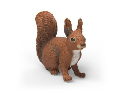 Zvieratko - veverička