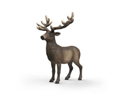 Zvieratko - jeleň americký