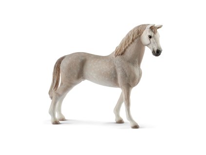 Zvieratko - holštajnský valach