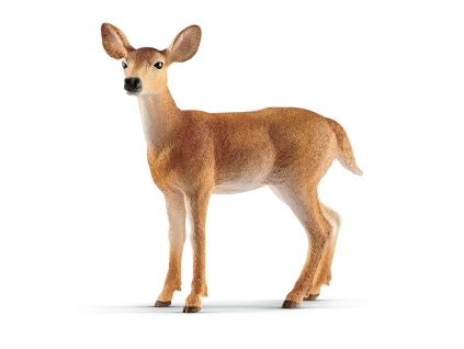 Zvieratko - Laň jeleňa bielochvostého