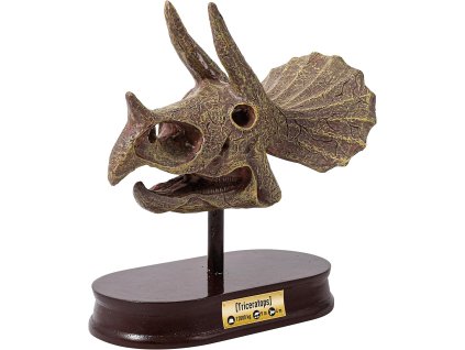 Výstavná lebka -  Triceratops (2131)