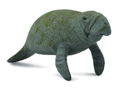 COLLECTA Lamantín