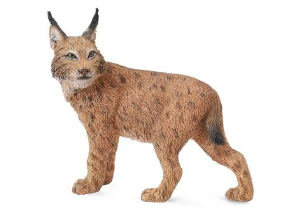 COLLECTA Rys