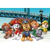 Puzzle 104 dielikov Maxi - Paw Patrol