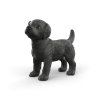 Zvieratko - čierne šteňa labradorského retrievera