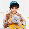 b100235 miloampmillie plysova macicka milo siva 35 cm 5