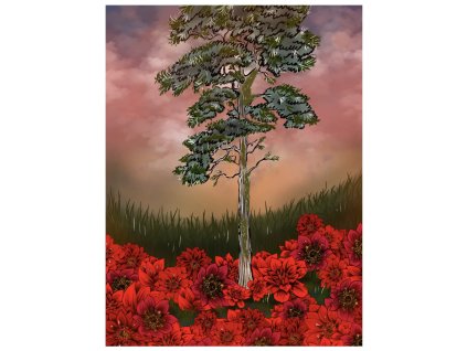 Plakát Louka s červenými květy