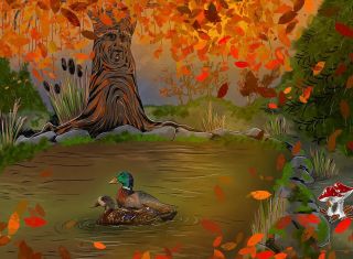 Uprostřed lesa, kde vzduch voní podzimem leží rybník Měsíčník. 🌕🍂 A hned u břehu bdí stará vrba Vráska – pamětnice...