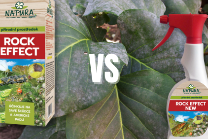 Postřik Rock Effect vs Rock Effect NEW: 6 rozdílů
