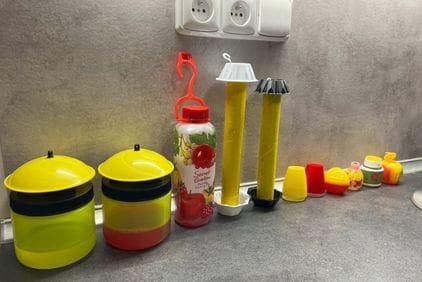 Test lapačů octomilek 2024