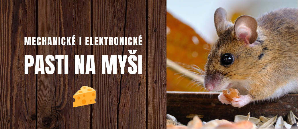 Pasti na myši mechanické i elektronické