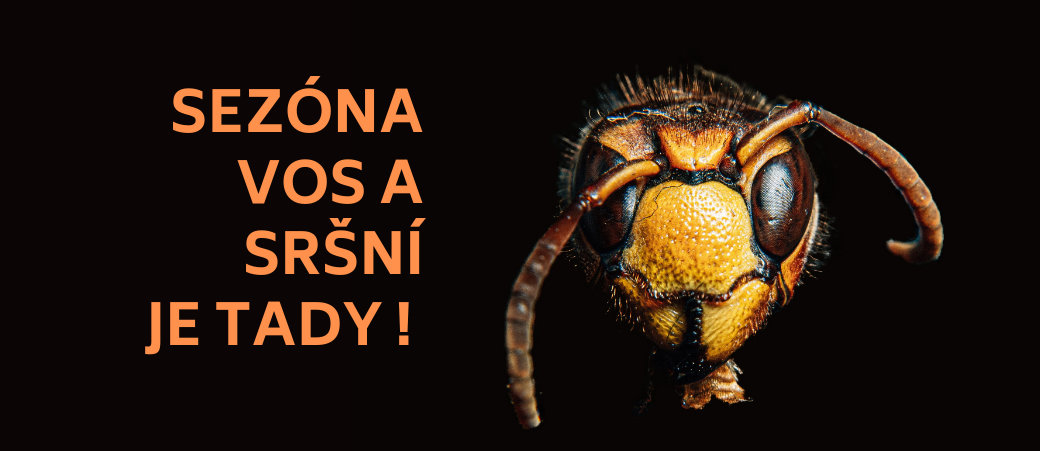 Sezóna vos a sršní je tu!