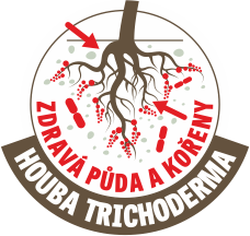 Mykorhizní houby