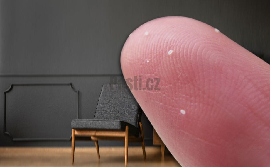 vajíčka blechy na lidském prstě