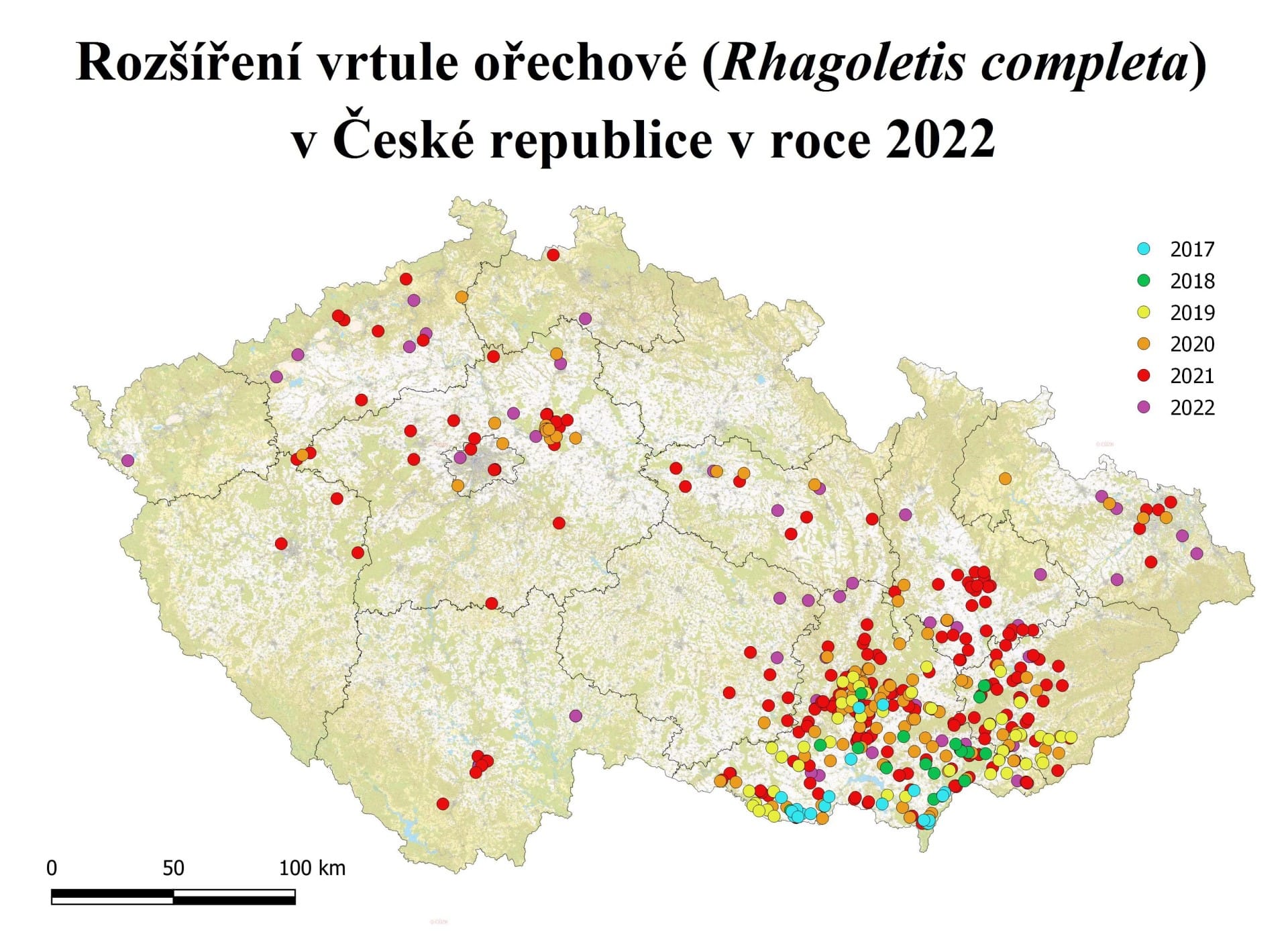Mapa výskytu vrtule ořechové v ČR
