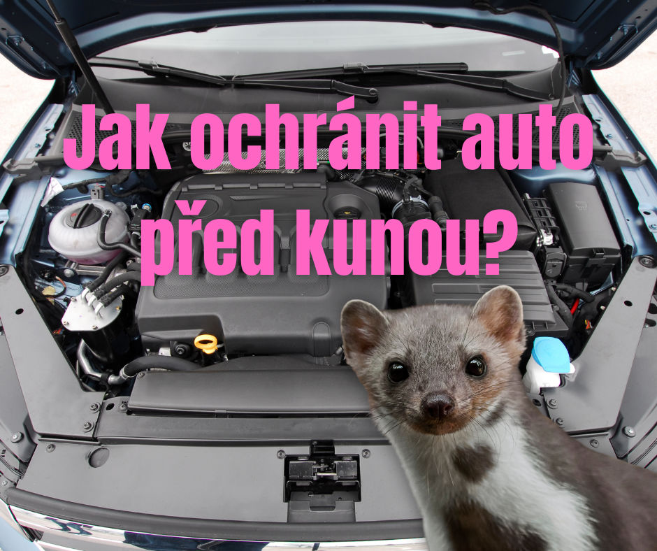 Proti Kunam V Aute () Proti Kunam V Aute