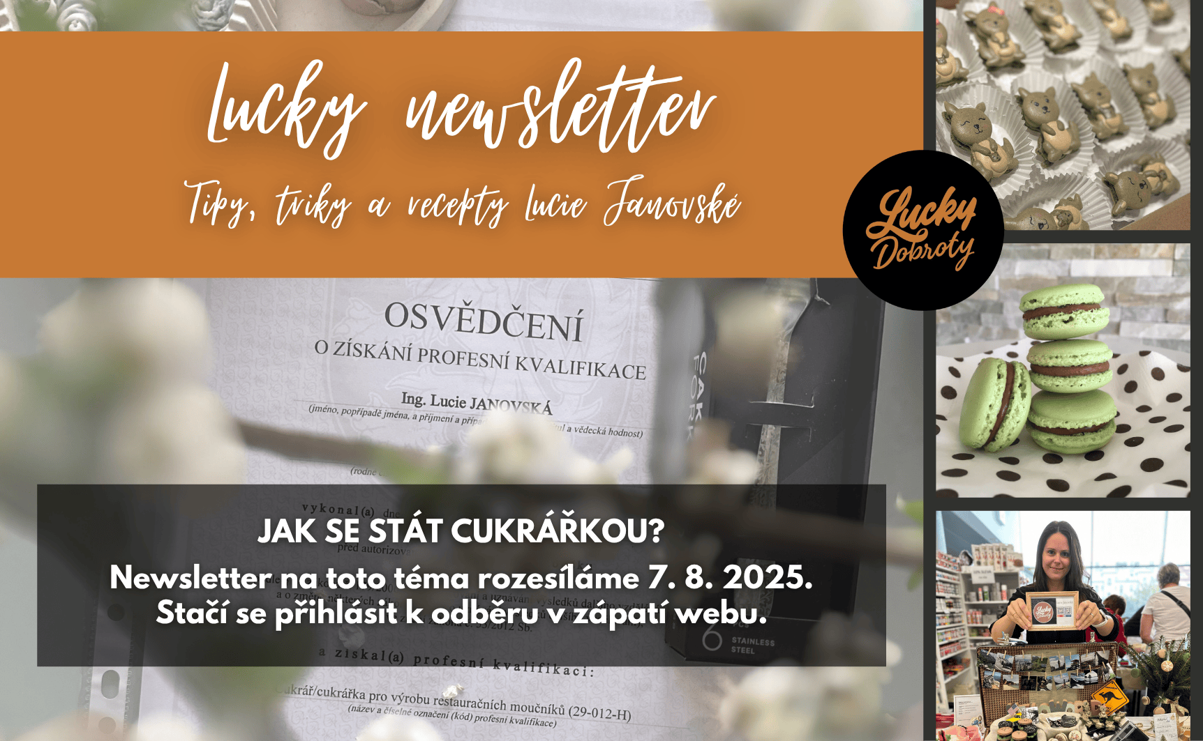 Newsletter Lucka: Jak se stát cukrářkou?