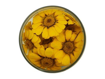 margaritten gelb