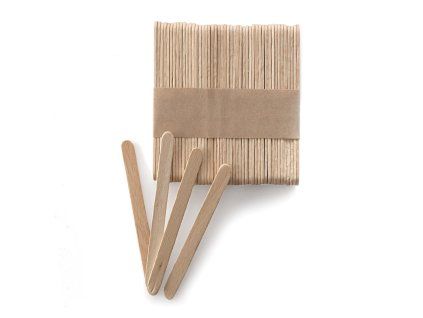 STICKS100 1