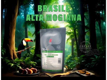 EssseCaffe Visual Mogiana