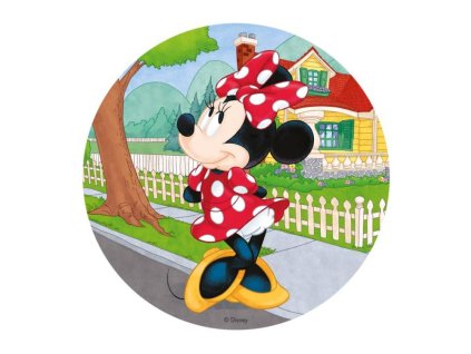 dekora jedly obrazek minnie 2