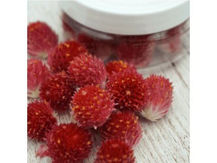 Snímek obrazovky 2025 12 19 113350